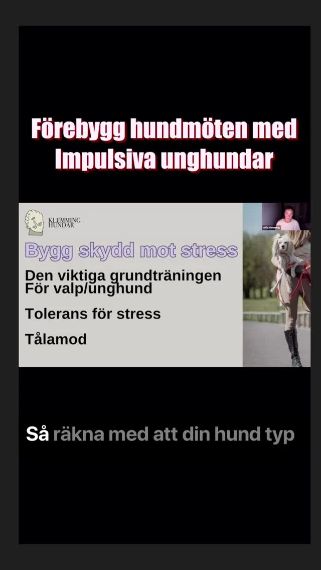 #hundträning #hund #valp #hundigöteborg #tränahund #hundtränare