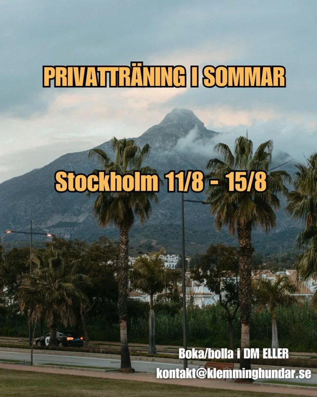 Skicka DM: Sthlm vid intresse så kan vi bolla mer där om privatträning ✨🐝🇸🇪